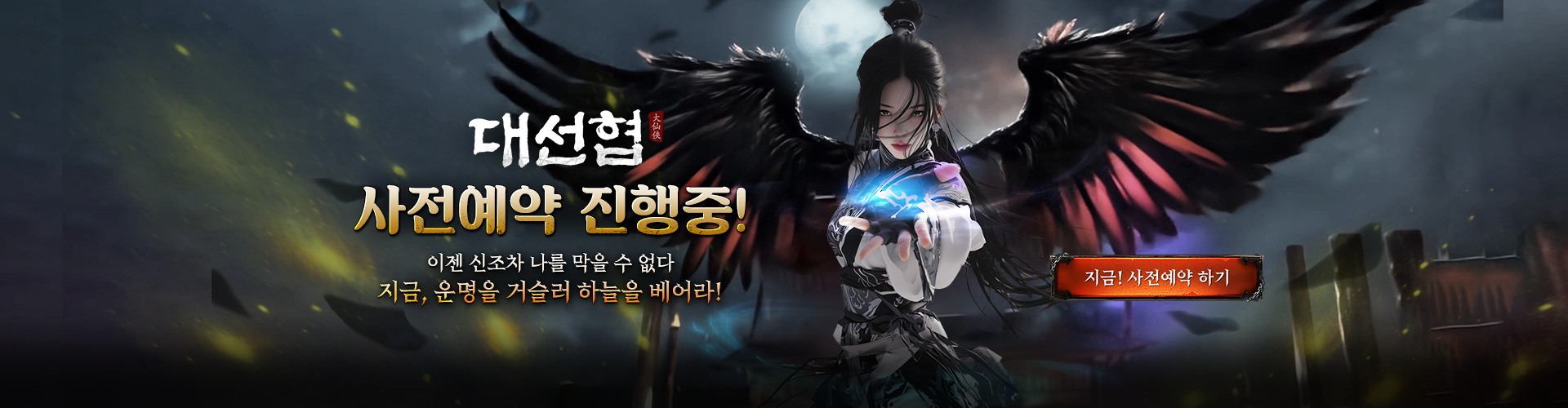 대선협(사전예약)