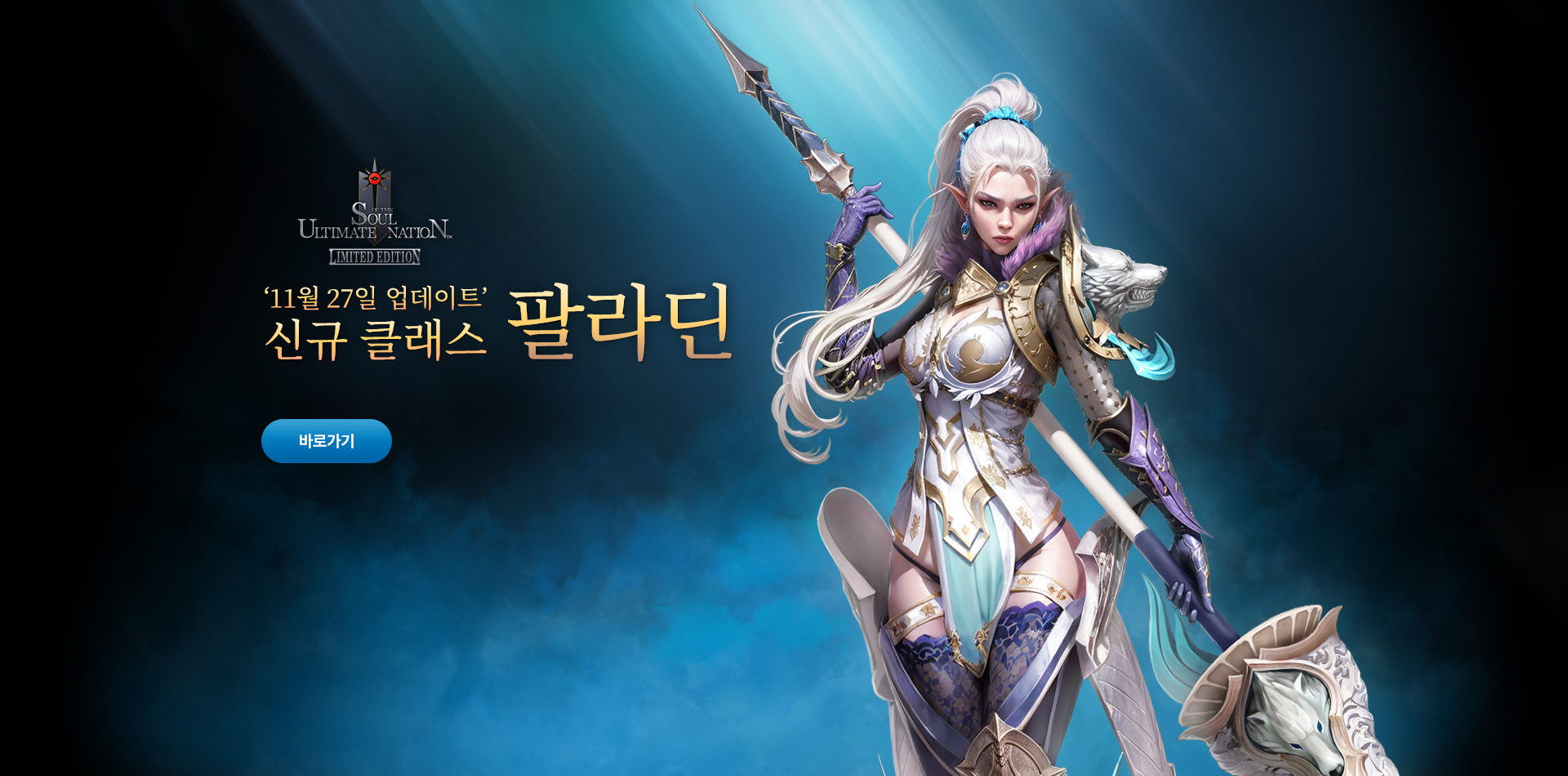 신규 클래스 팔라딘 업데이트