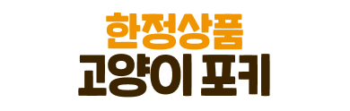 고양이포키
